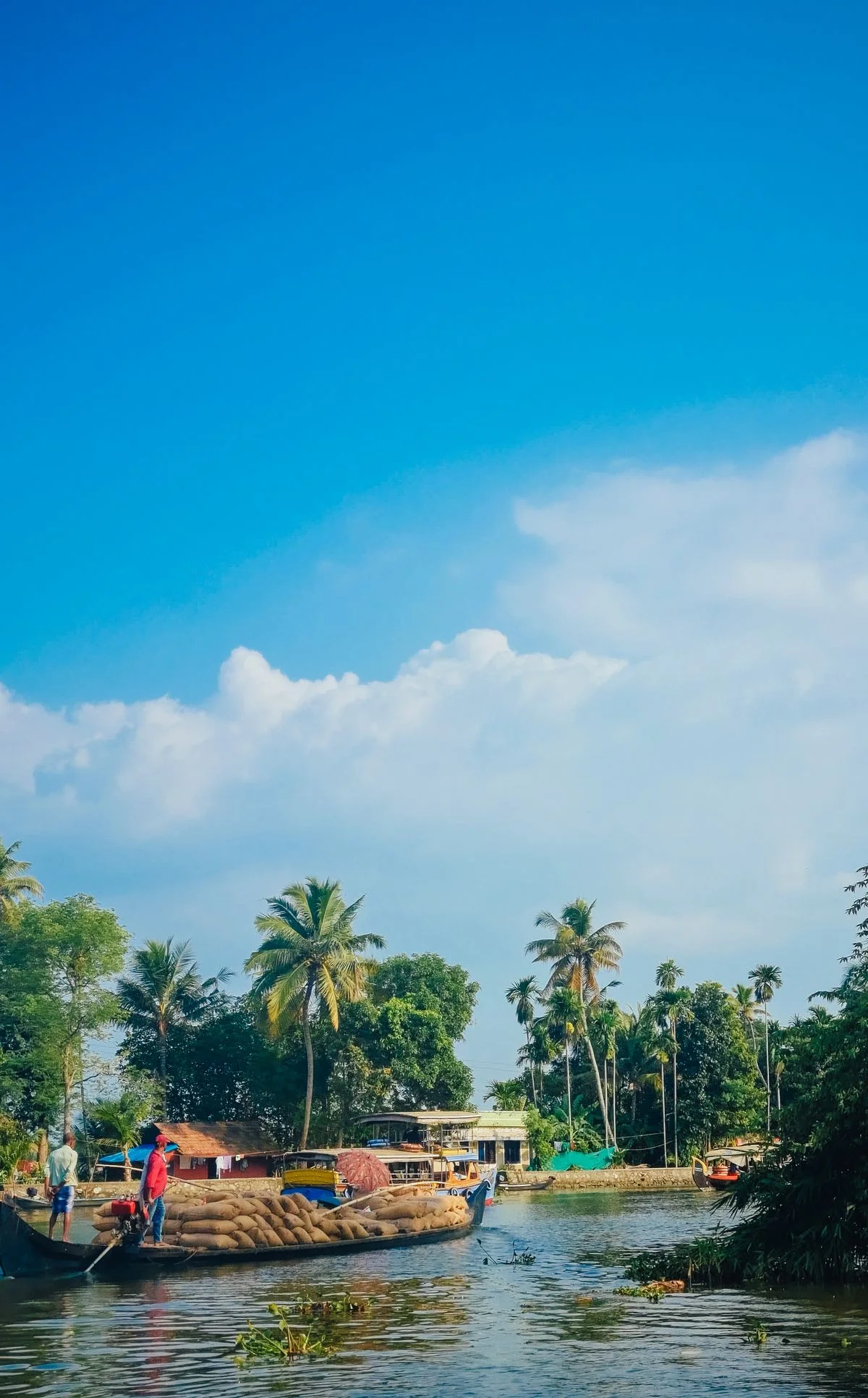 Boat and palms on the Alappuzha backwaters