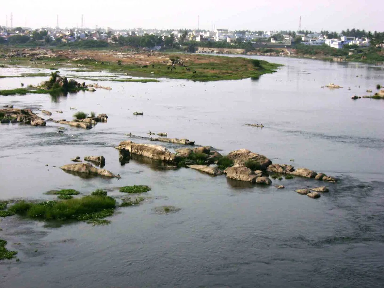 Kaveri River near Erode