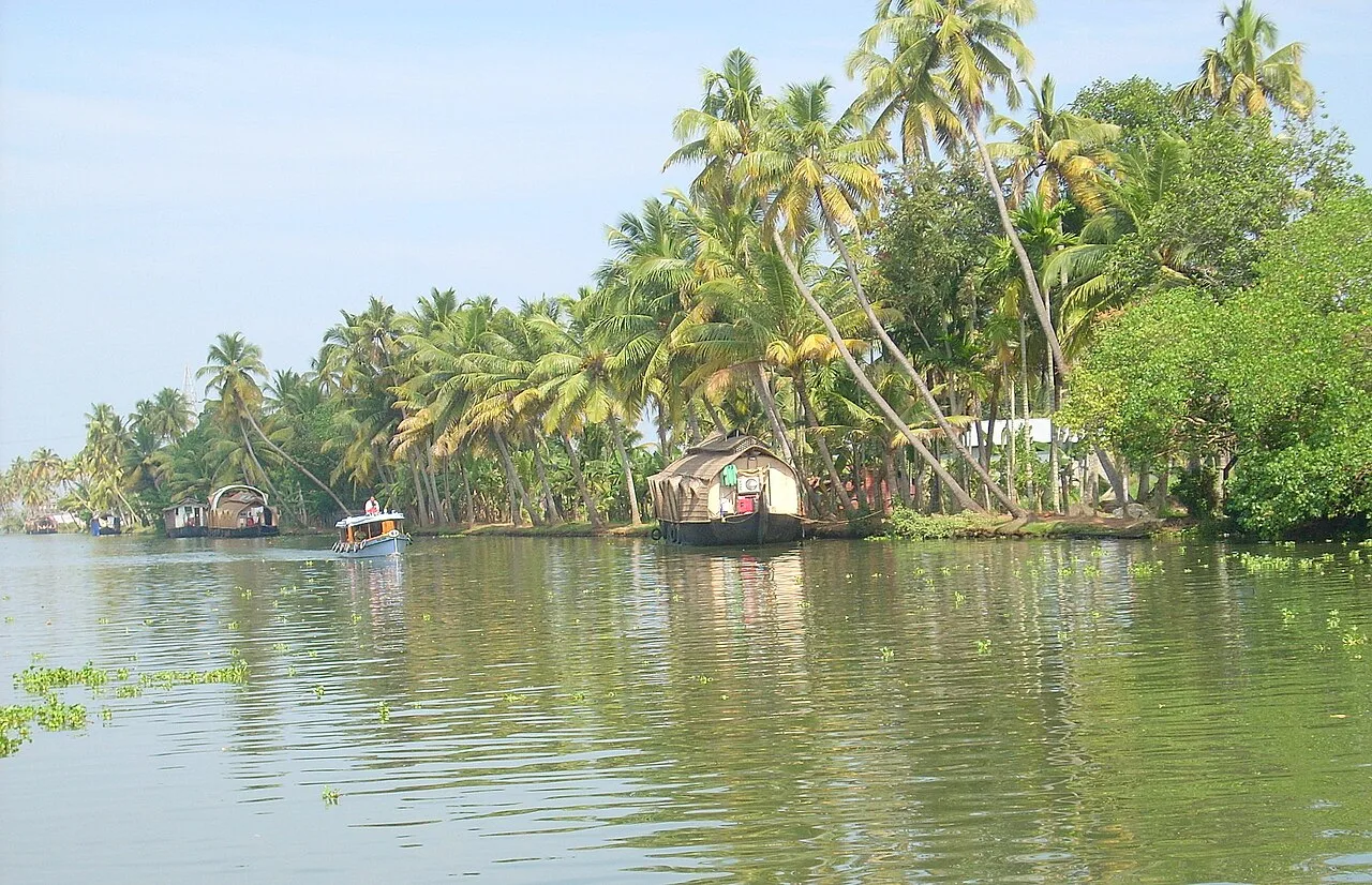 Traditional boats in the Kuttanad backwaters