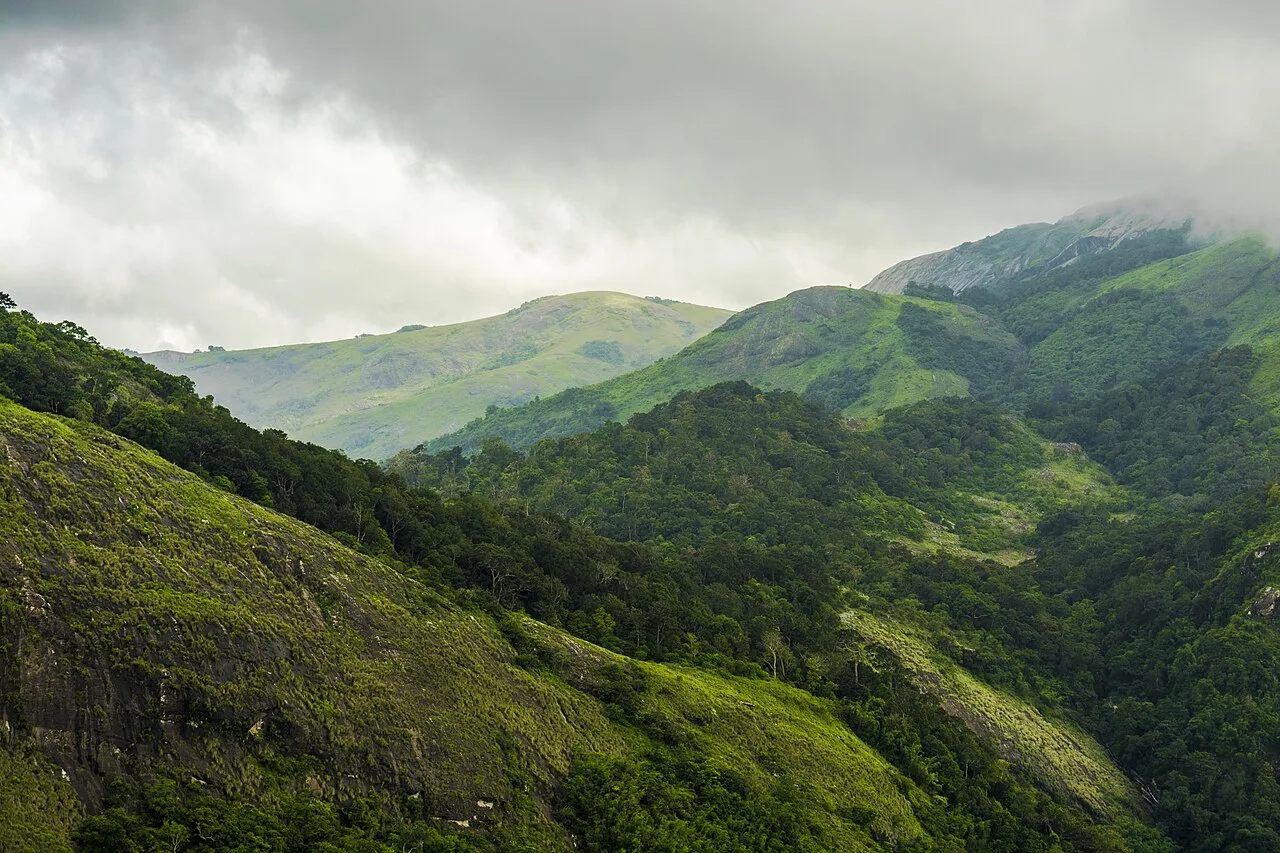 Western Ghats scenery from Nelliyampathy