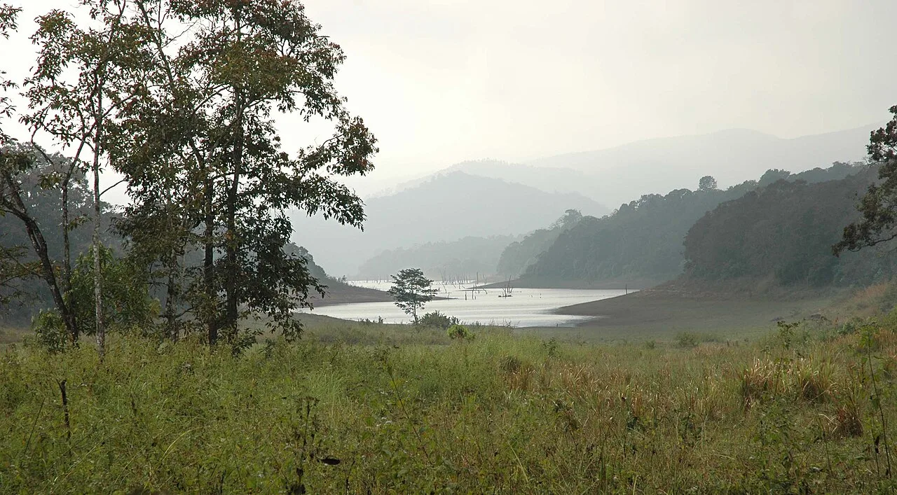 Lake landscape in Periyar National Park