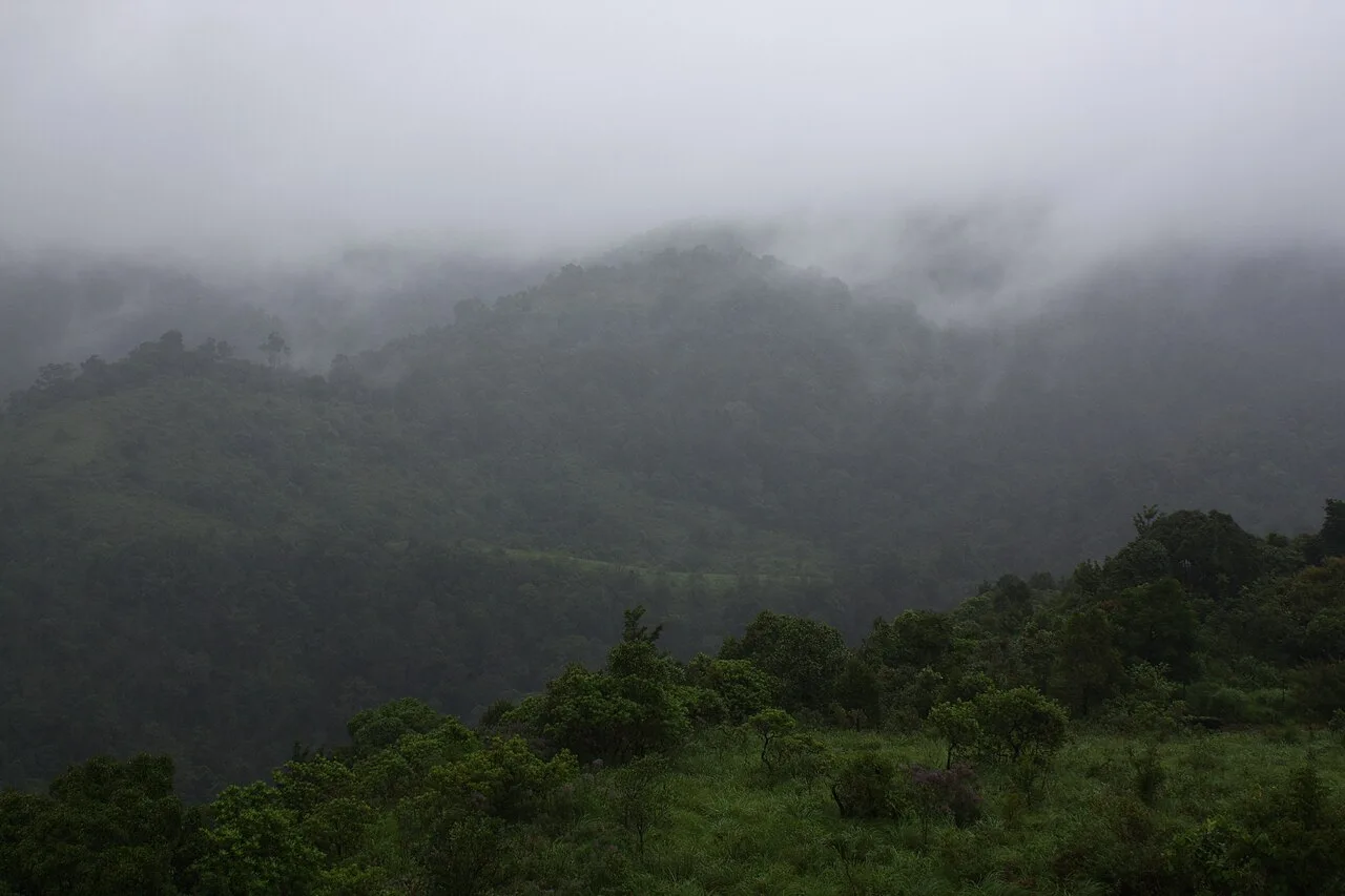Silent Valley landscape from the observation tower